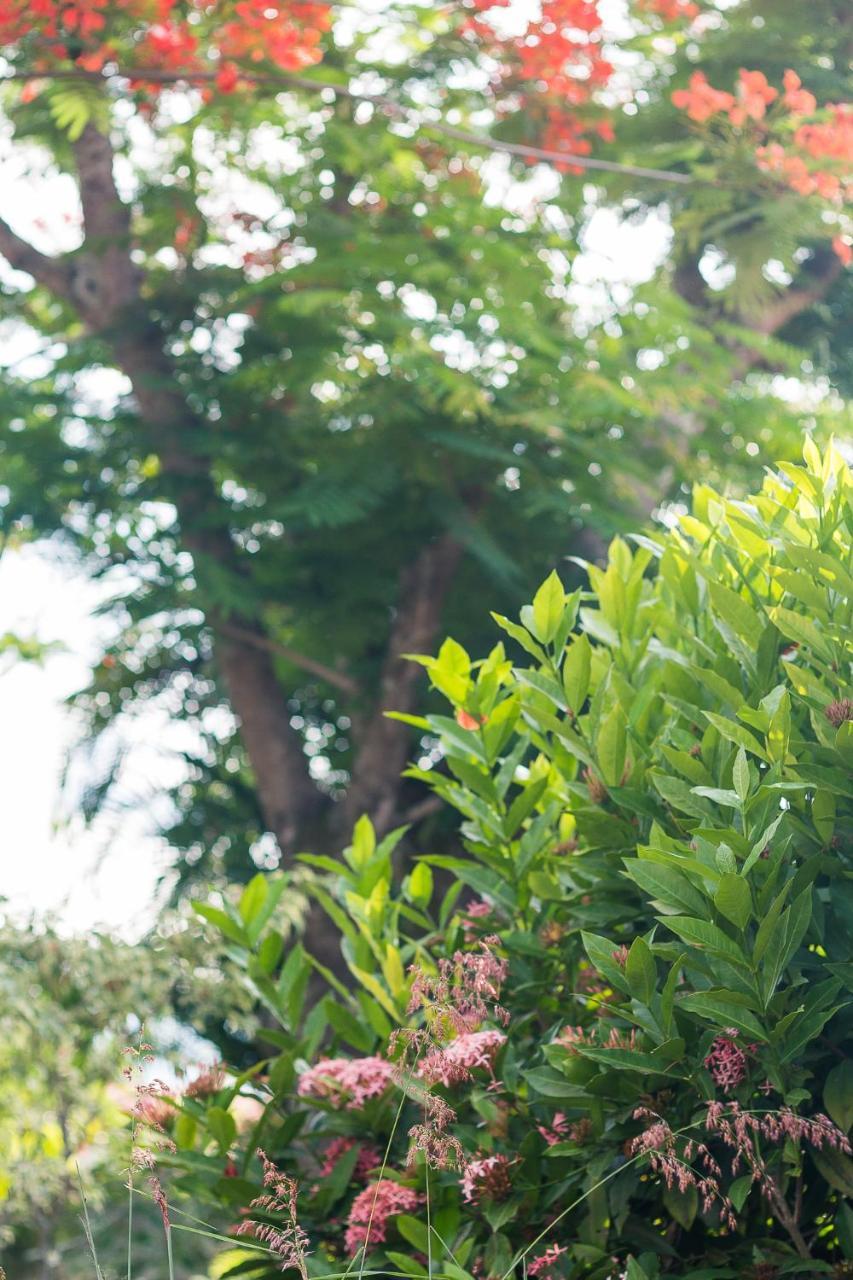 סקווארמה Pousada Solar Tropical מראה חיצוני תמונה